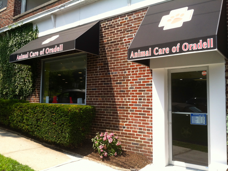 New Animal Hospital Opens in Oradell River Dell, NJ Patch New Animal Hospital Opens in Oradell River Dell, NJ Patch