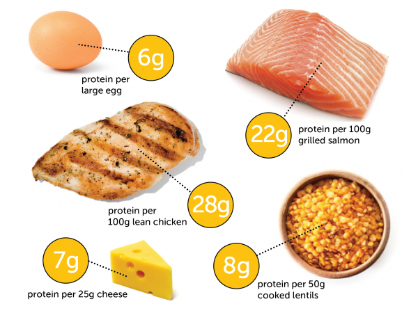 Lose Weight Carbs Protein Fat