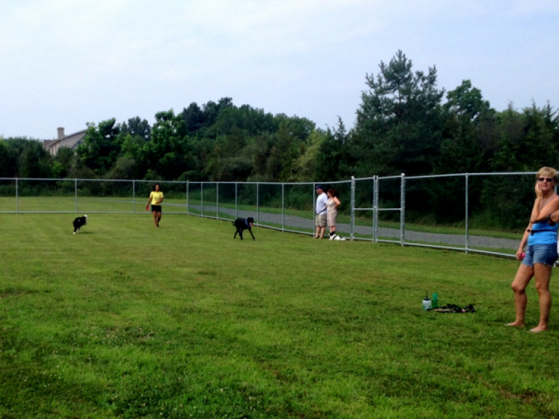 Lower Frederick Dog Park Opens [PHOTOS] Perkiomen Valley, PA Patch