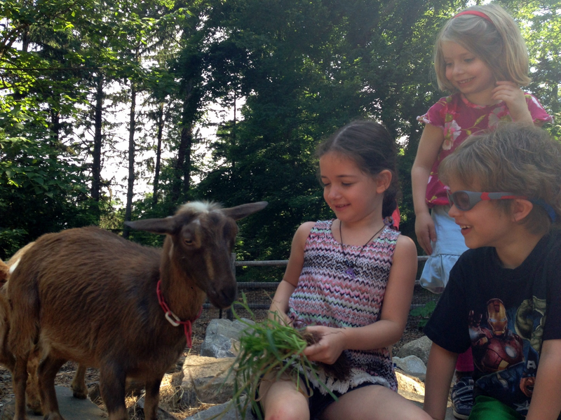 Meet the Animals at Greenburgh Nature Center