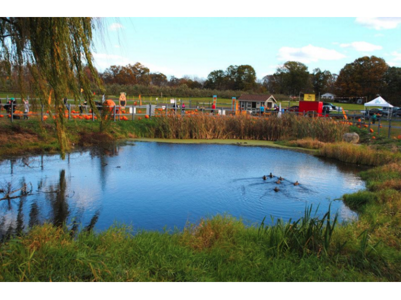 The 25 Best Places To Live In Ct 2016 Orange Patch The 25 Best Places To Live In Ct 2016