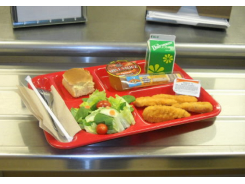 fulton county schools