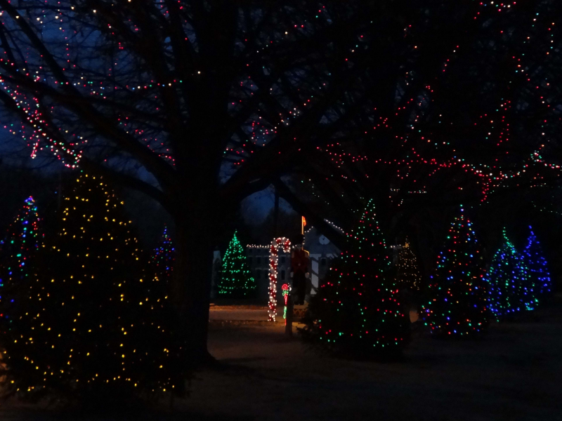 Festival of Lights Illuminates Rose Tree Park Media, PA Patch