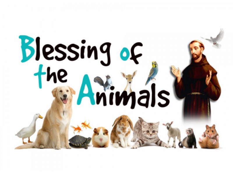 Blessing of the Animals | Patchogue, NY Patch