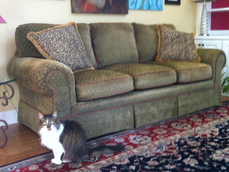 Sherrill Sofa Ralph Lauren Rug Dacula Ga Patch Sherrill Sofa Ralph Lauren Rug