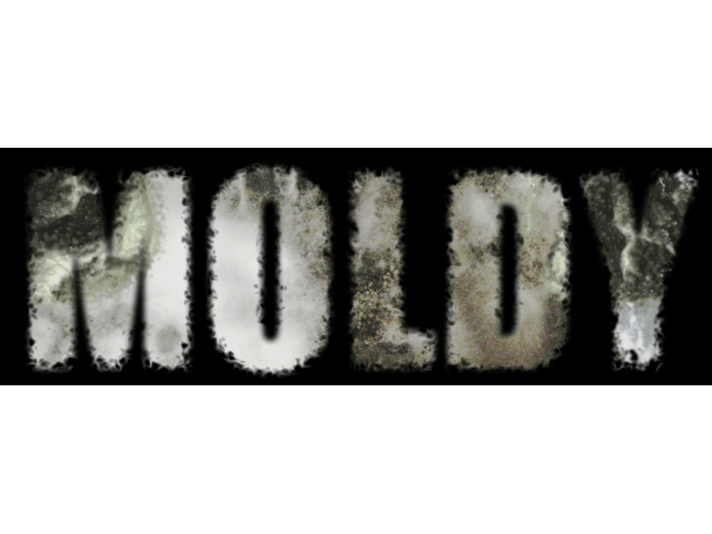 The Health Hazards Of Toxic Mold Ramsey Nj Patch The Health Hazards Of Toxic Mold