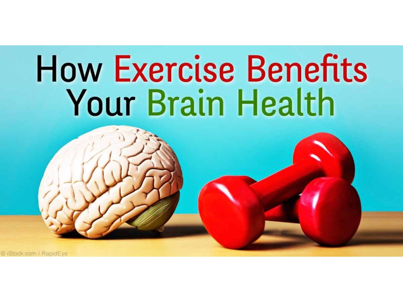 Does Exercise Change Your Brain? | Ramsey, NJ Patch