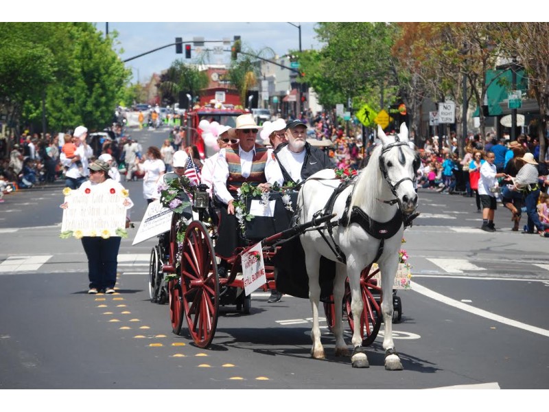 PHOTOS Butter and Eggs Day Great Moments From The Parade In Petaluma