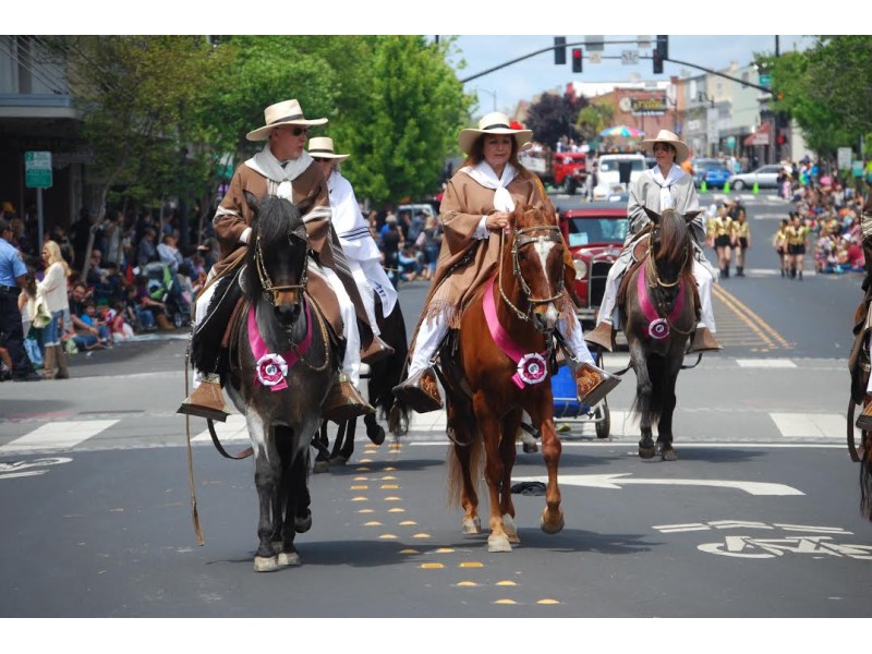 PHOTOS Butter and Eggs Day Great Moments From The Parade In Petaluma