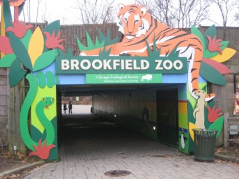 Brookfield Zoo's Schedules AugustDecember Events Western Springs, IL