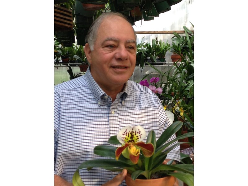 Henry louis gates children image