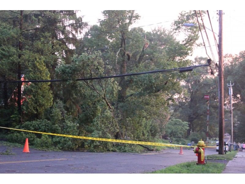 Photos Wallingford Sustains Significant Damage During the Storm