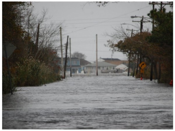 REMINDER: Updated FEMA Flood Maps For Point Pleasant Beach, Boro Set ...