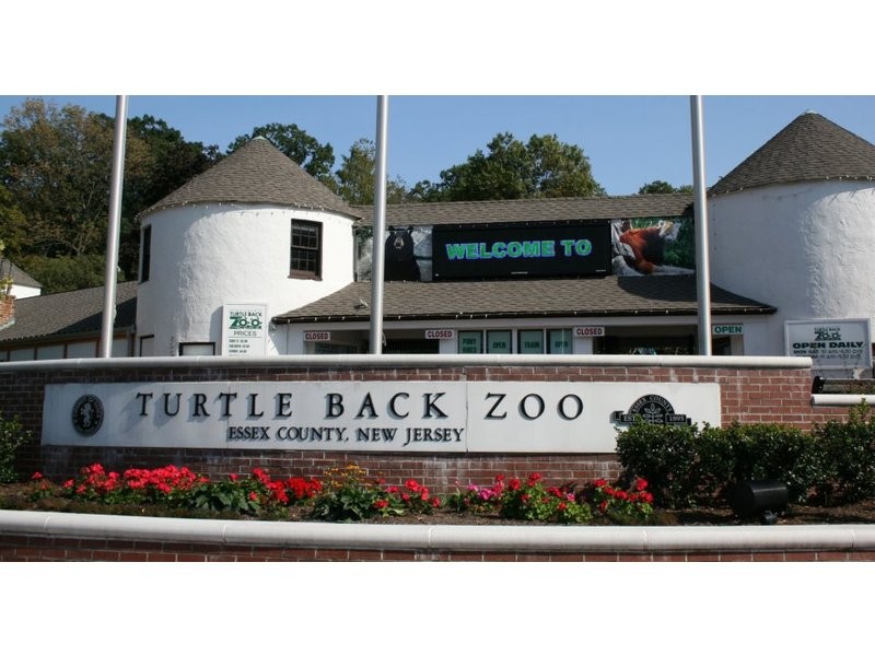 Turtle Back Zoo Hosting 13th Annual Essex County Open House West