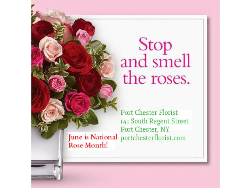 June is National Rose Month at Port Chester Florist Port Chester, NY
