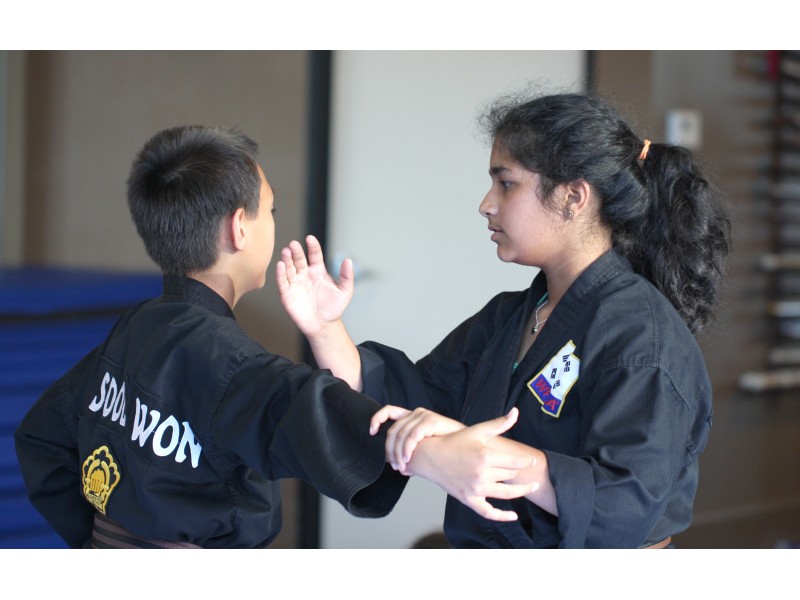 25th Anniversary Summer Camp planned for Dublin Martial Arts School