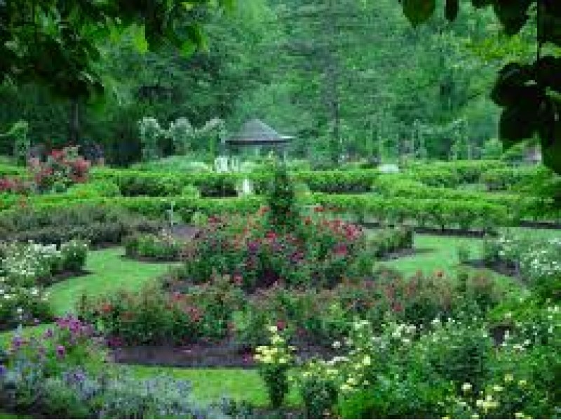 Morris Arboretum Seeks Guides Roxborough, PA Patch