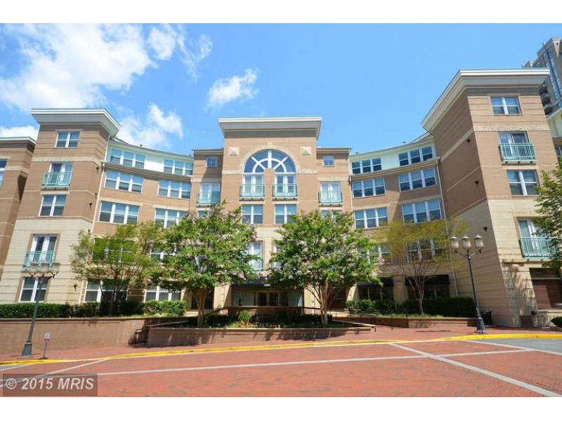 Reston Real Estate Market