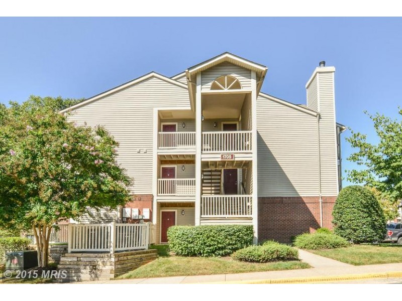 Newest and Best Homes for Sale in Reston Real Estate Market Reston