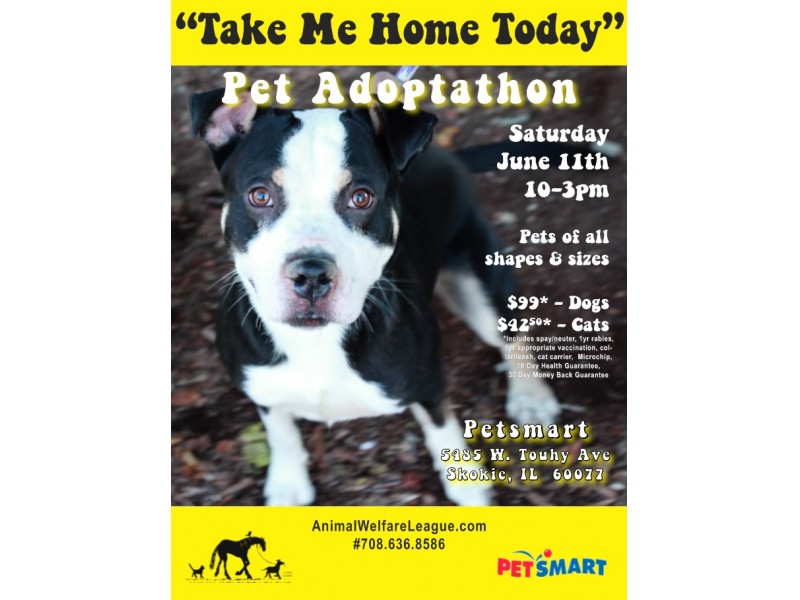 Pet Adoption Event - Saturday - 10-3pm Petsmart | Skokie ...