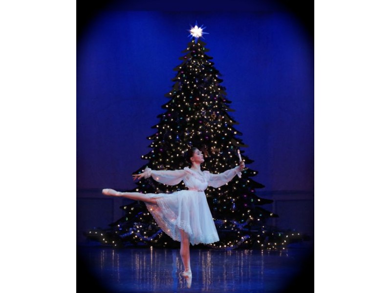 Dance Prism is Bringing The Nutcracker to Sudbury Sudbury, MA Patch