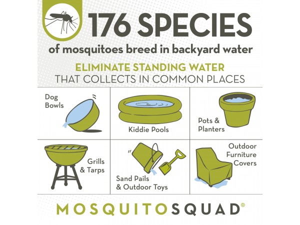 Mosquito Squad Vs Mosquito Authority