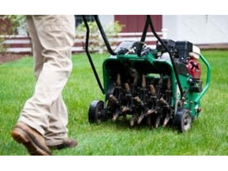Essential Fall Lawn Care Instructions Avon, CT Patch