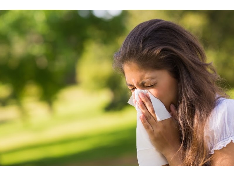 Mountain Cedar Pollen Levels Creating Misery For Allergy Sufferers
