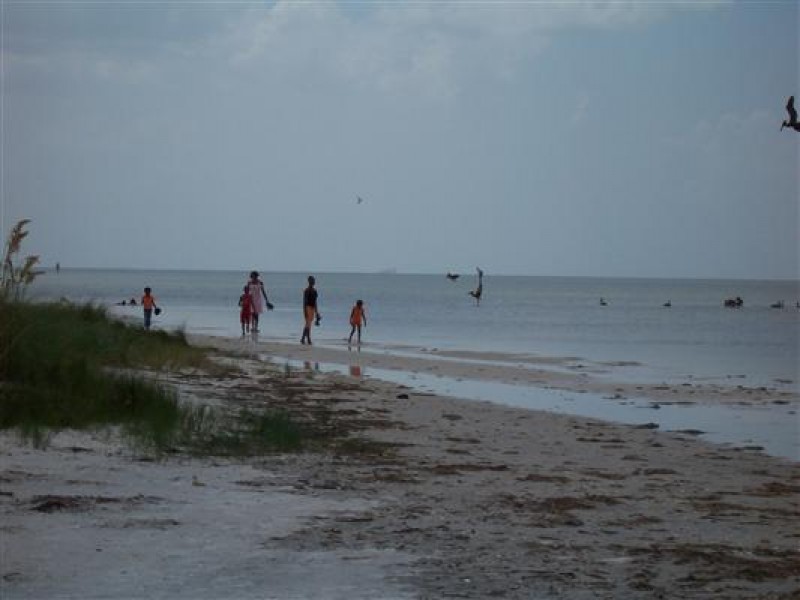 Mage Apollo Beach Fl The Best Beaches In World Mage Apollo Beach Fl The Best Beaches In World