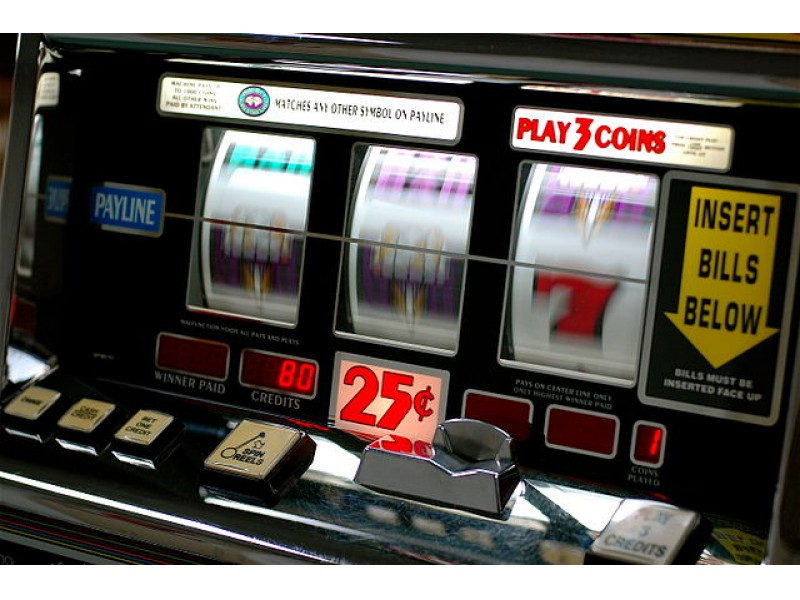 california pala casino income tax