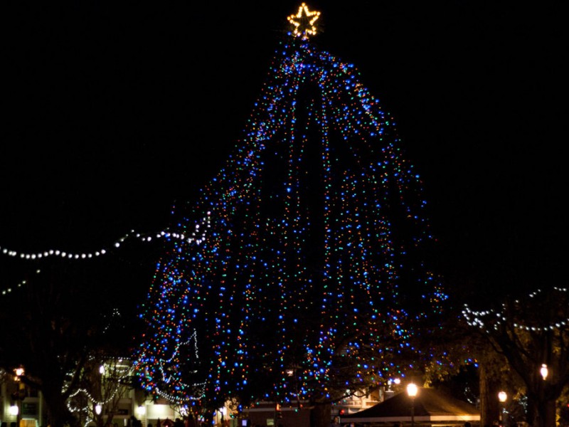 los gatos lights christmas tree los gatos ca patch los gatos lights christmas tree los gatos ca patch