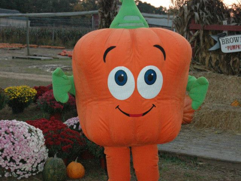 spookley the square pumpkin stuffed animal