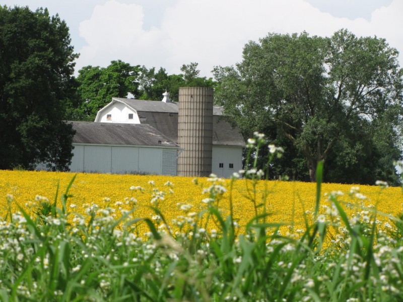 Peck Farm Heritage Day Geneva, IL Patch