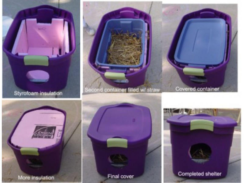 outdoor-feral-cat-shelter-diy-wyandotte-mi-patch