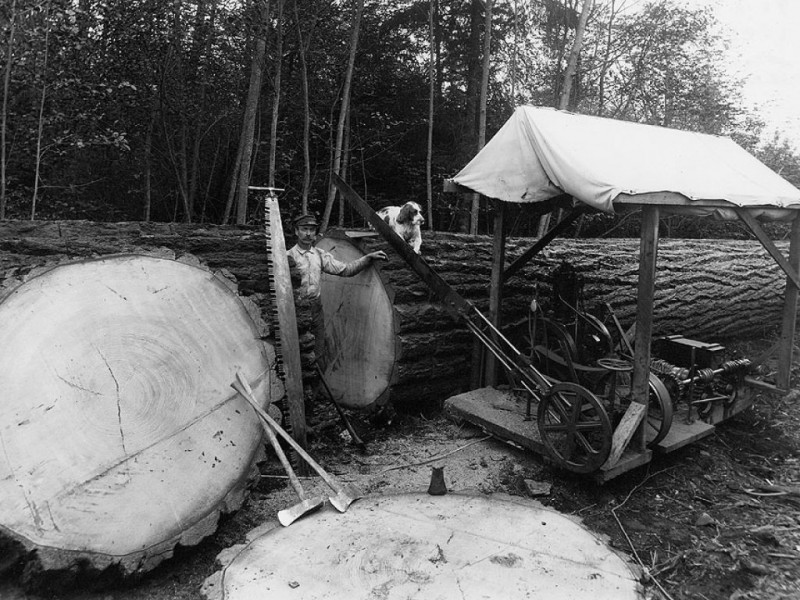 A Short History of Logging and Lumber in Enumclaw Enumclaw, WA Patch