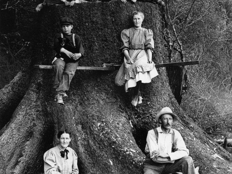 A Short History of Logging and Lumber in Enumclaw Enumclaw, WA Patch