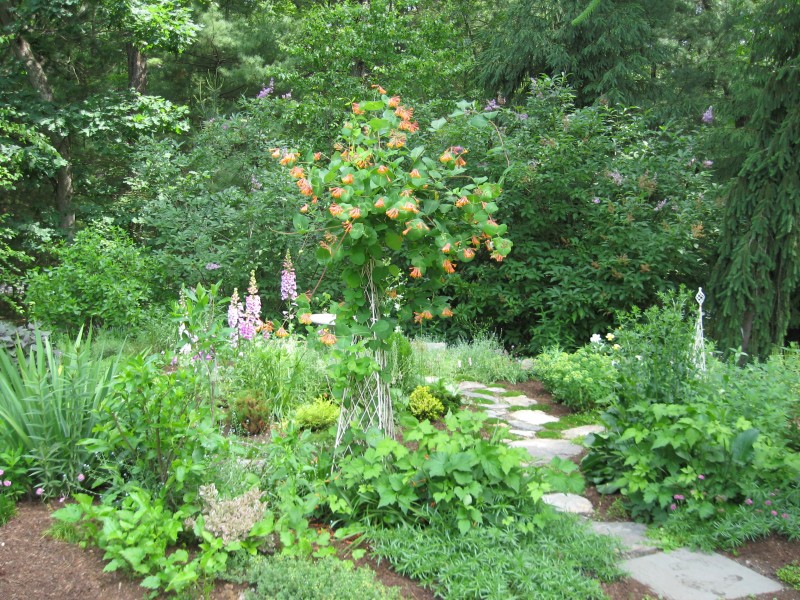 Concord Museum Hosts Garden Tour Concord, MA Patch