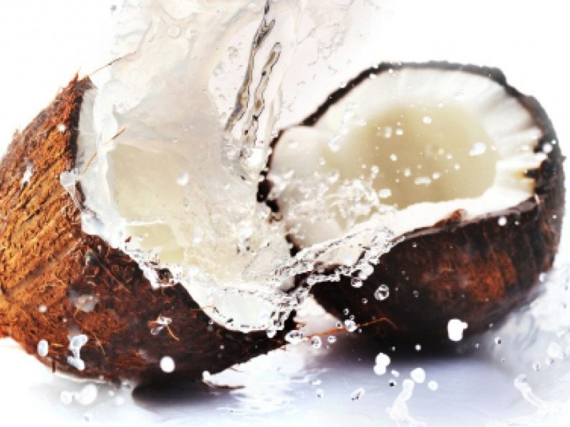 Coconut Oil: Top 5 Reasons To Feed it To Your Dog | Carrollwood, FL Patch