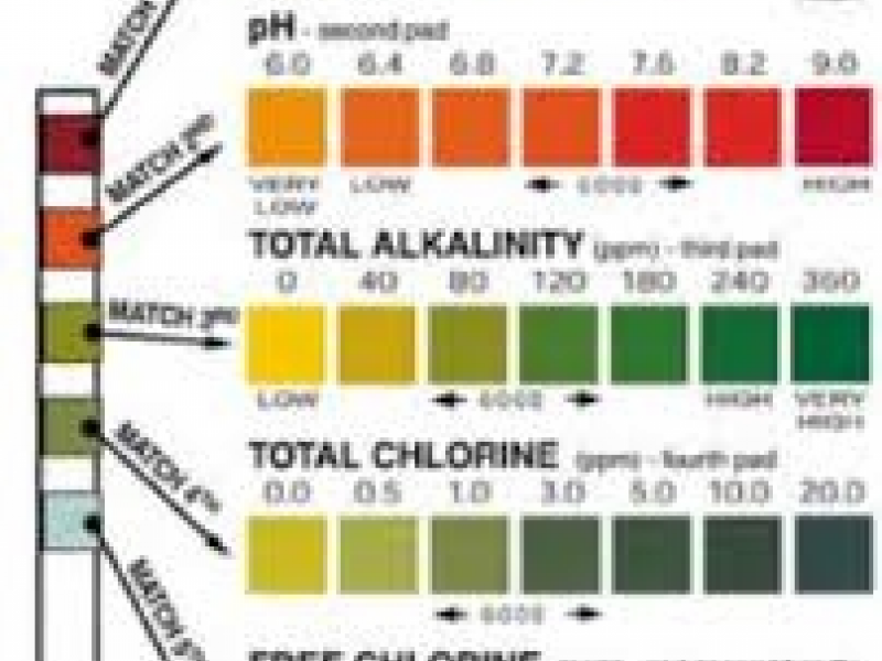 24-test-strip-pool-color-chart-teststrips