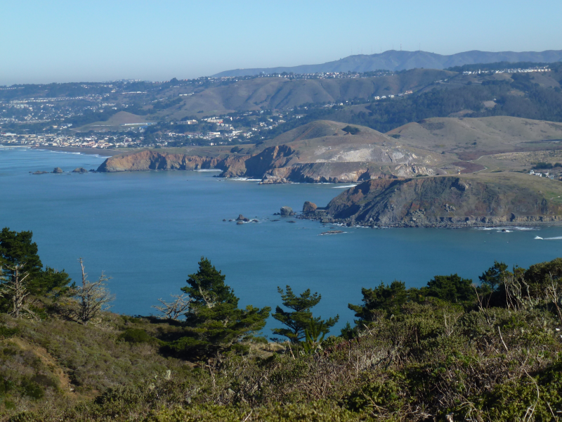 Pedro Point Headlands Fall Habitat Restoration Day - Sunday 