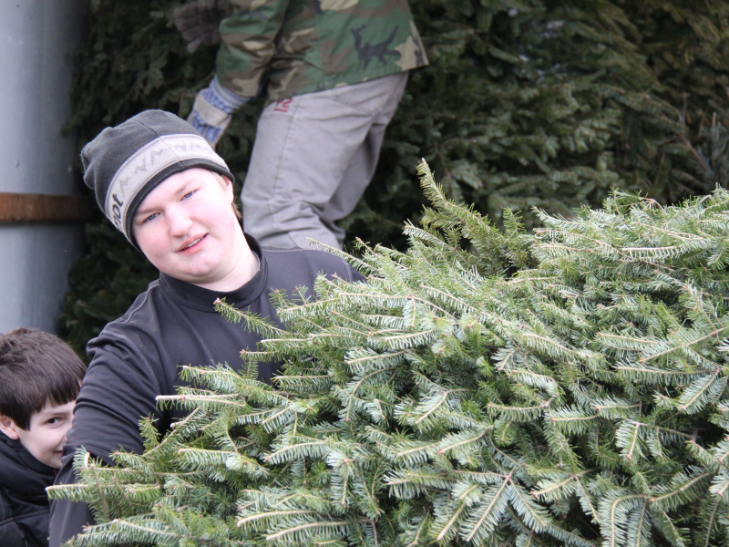 boy scout troop 507 christmas tree pickup winchester ma boy scout troop 507 christmas tree pickup winchester ma