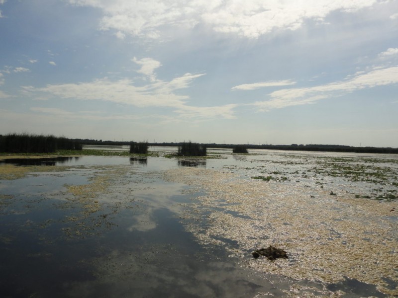 Muskego's Big Lake A History Book of the City Muskego, WI Patch