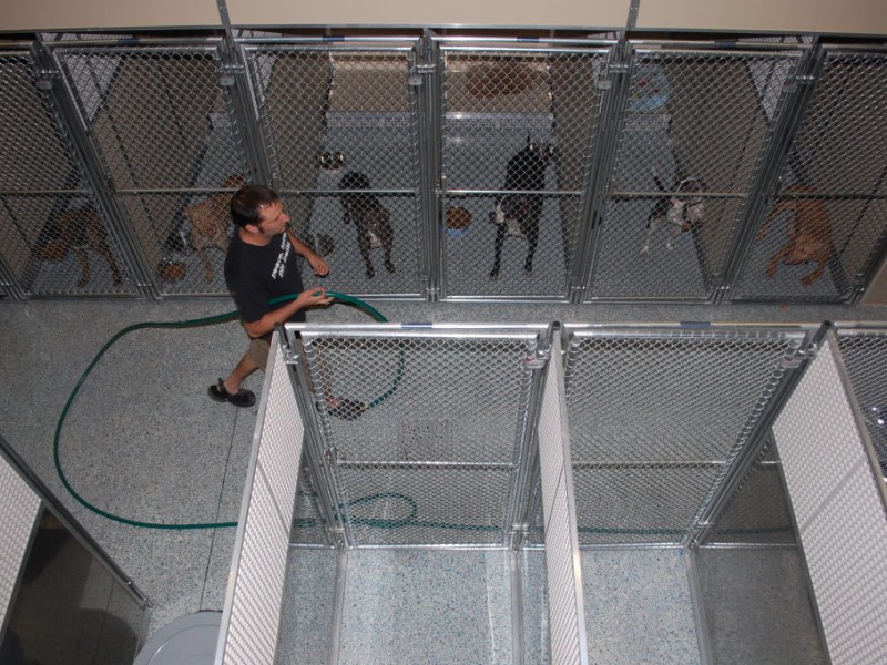 Sean Casey's Animal Rescue Takes on New Heights Windsor Terrace, NY Patch