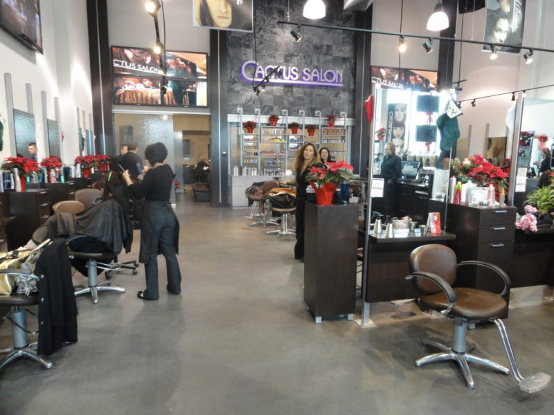 Cactus Salon Stony Brook New York Naturalsalons