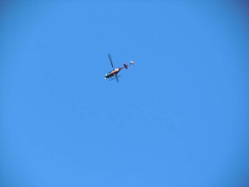 Updated: Fire in Fells Caused by Arson | Winchester, MA Patch