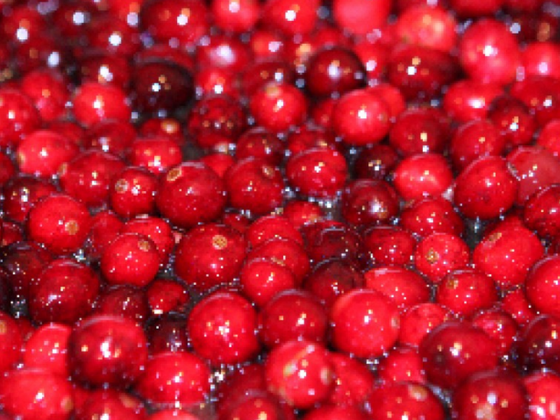 Cranberry Cherry Relish Perfect for the Holidays Lakewood, OH Patch