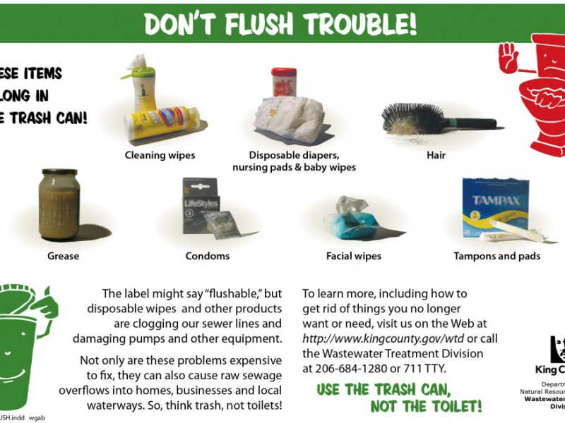 Don't Flush Trouble Down the Toilet | Sammamish, WA Patch