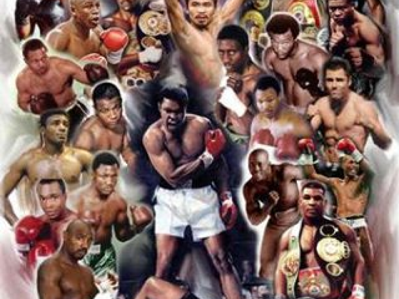 Roy Jones Jr Vs Quinton Rampage Jackson An Roy Jones Jr Vs Quinton Rampage Jackson An