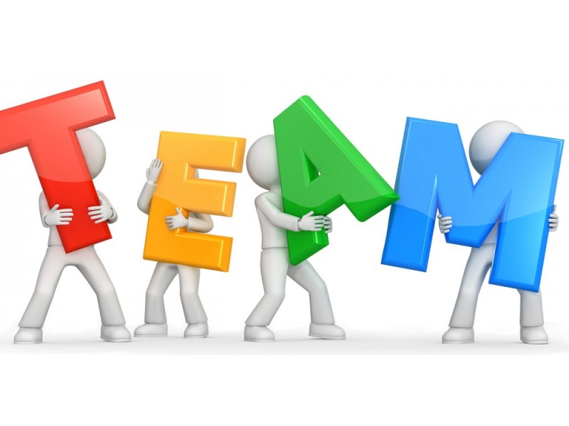 Building Your Dream Team: The Path to a Successful Organization ...