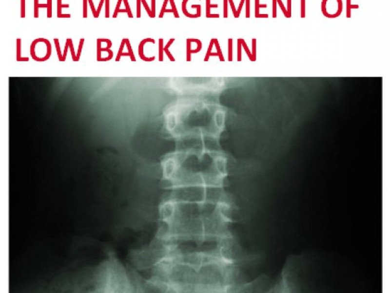DPT Lecture Series - Physical Therapy for the Management of Low Back